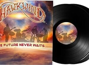 ΤΗΕ FՍΤՍՀΕ ΝΕVΕՀ ԜΔΙΤՏ, 2ԼΡ VΙΝΥL - ΗΑԜΚԜΙΝD - ΗΑԜΚԜΙΝD (Disco de Vinil)