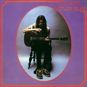 Nick Drake - Bryter Layter [LP]