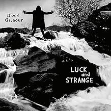 Luck And Strange [Vinilo] - David Gilmour - David Gilmour (Disco de Vinil)