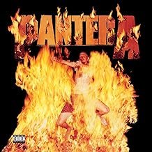 Reinventing the Steel - Pantera - Pantera (Disco de Vinil)