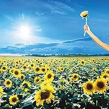 Stone Temple Pilots - Thank You - Stone Temple Pilots - Stone Temple Pilots (Disco de Vinil)