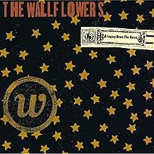 Bringing Down The Horse - The Wallflowers - The Wallflowers (Disco de Vinil)