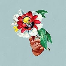 Kingdoms in Colour - Maribou State - Maribou State (Disco de Vinil)