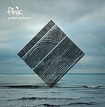 Perfect Darkness - Fink - Fink (CDs)
