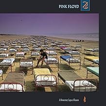 Momentary Lapse of Reason - Pink Floyd - Pink Floyd (CDs)
