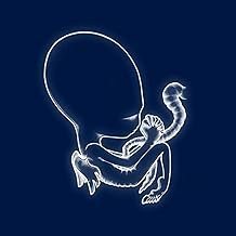 Sigur Rós - Ágætis Byrjun (2 LP) - Sigur Rós - Sigur Rós (CDs)
