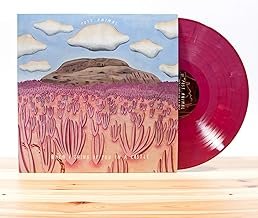 When I Think of You in a Castle - Post Animal - Post Animal (CDs)