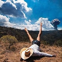 3d Country - Geese - Geese (Disco de Vinil)