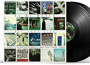 All Your Life: A Tribute to The Beatles - Di Meola,Al - Di Meola,Al (Disco de Vinil)